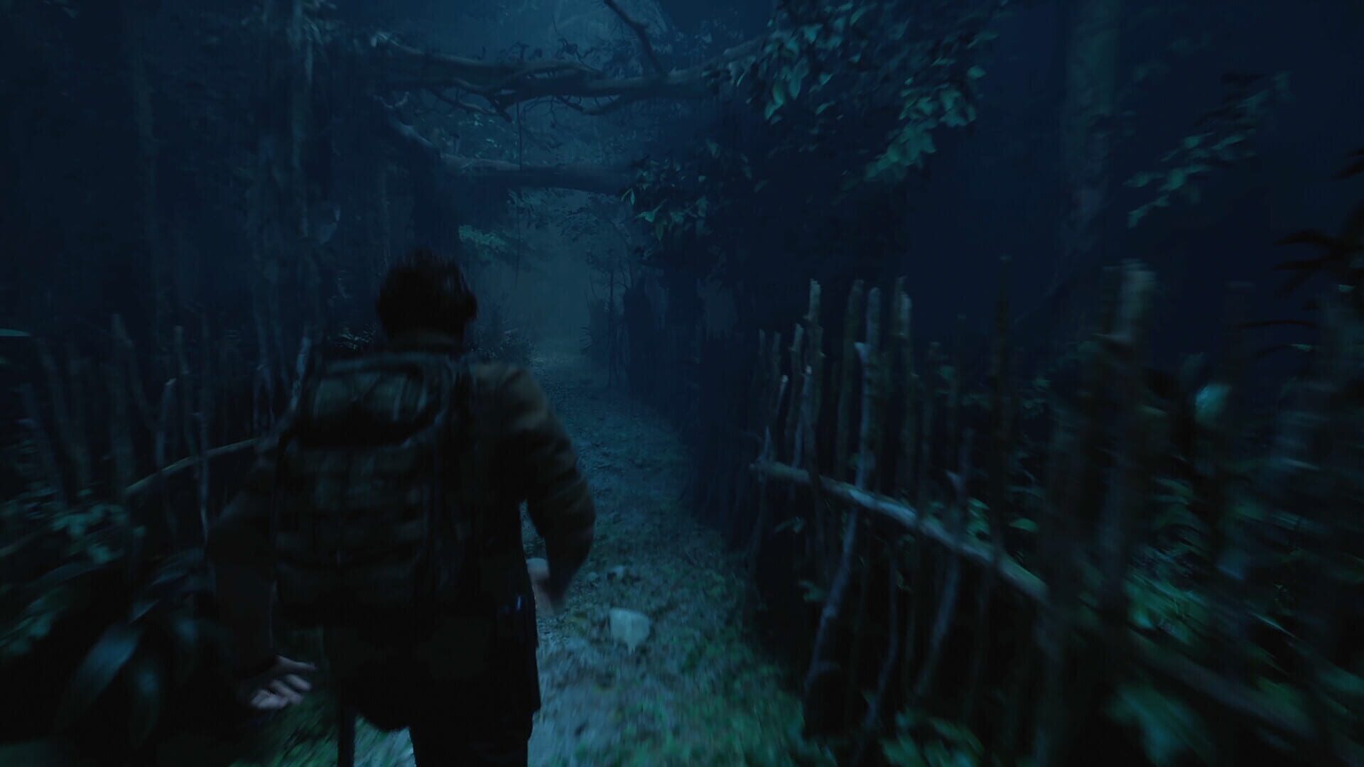 The Twilight Project - capture d'écran du village