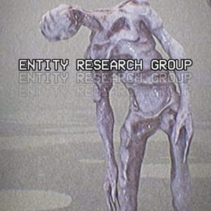 Entity Research Group