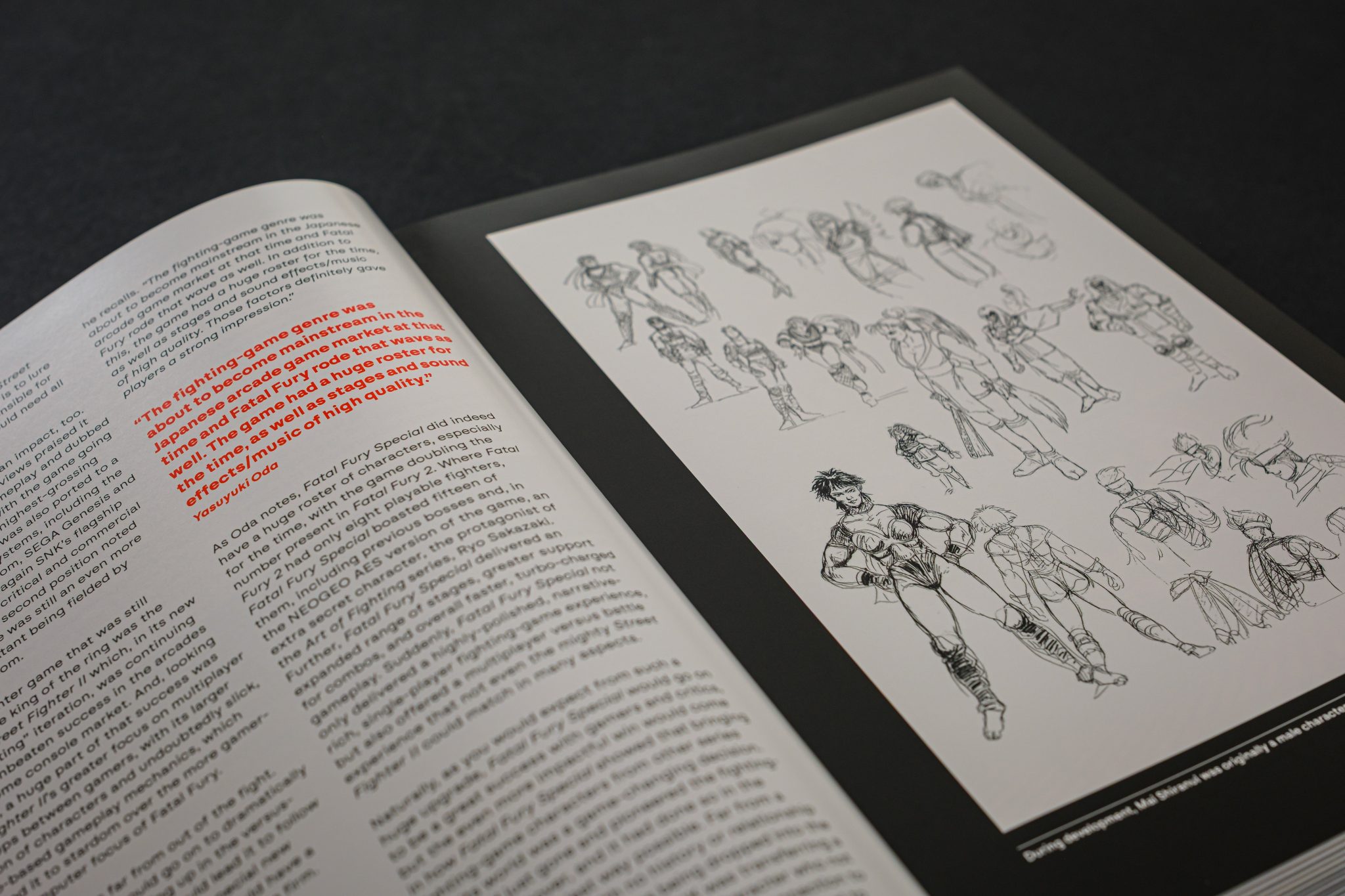 Double page du livre Fatal Fury/Garou Densetsu: The Ultimate History avec textes et artworks.