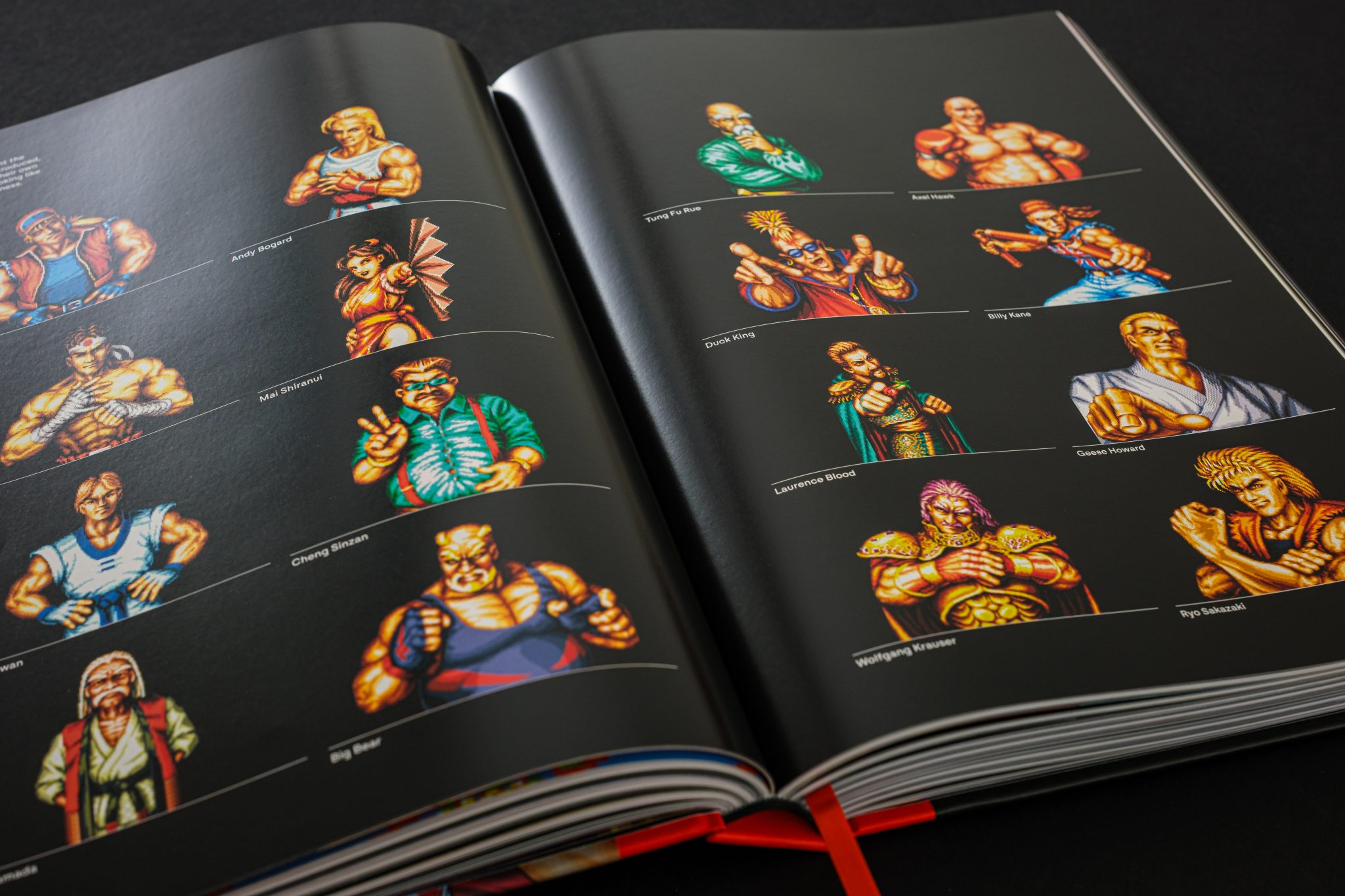 Page intérieure du livre Fatal Fury/Garou Densetsu: The Ultimate History montrant des portraits pixel art.
