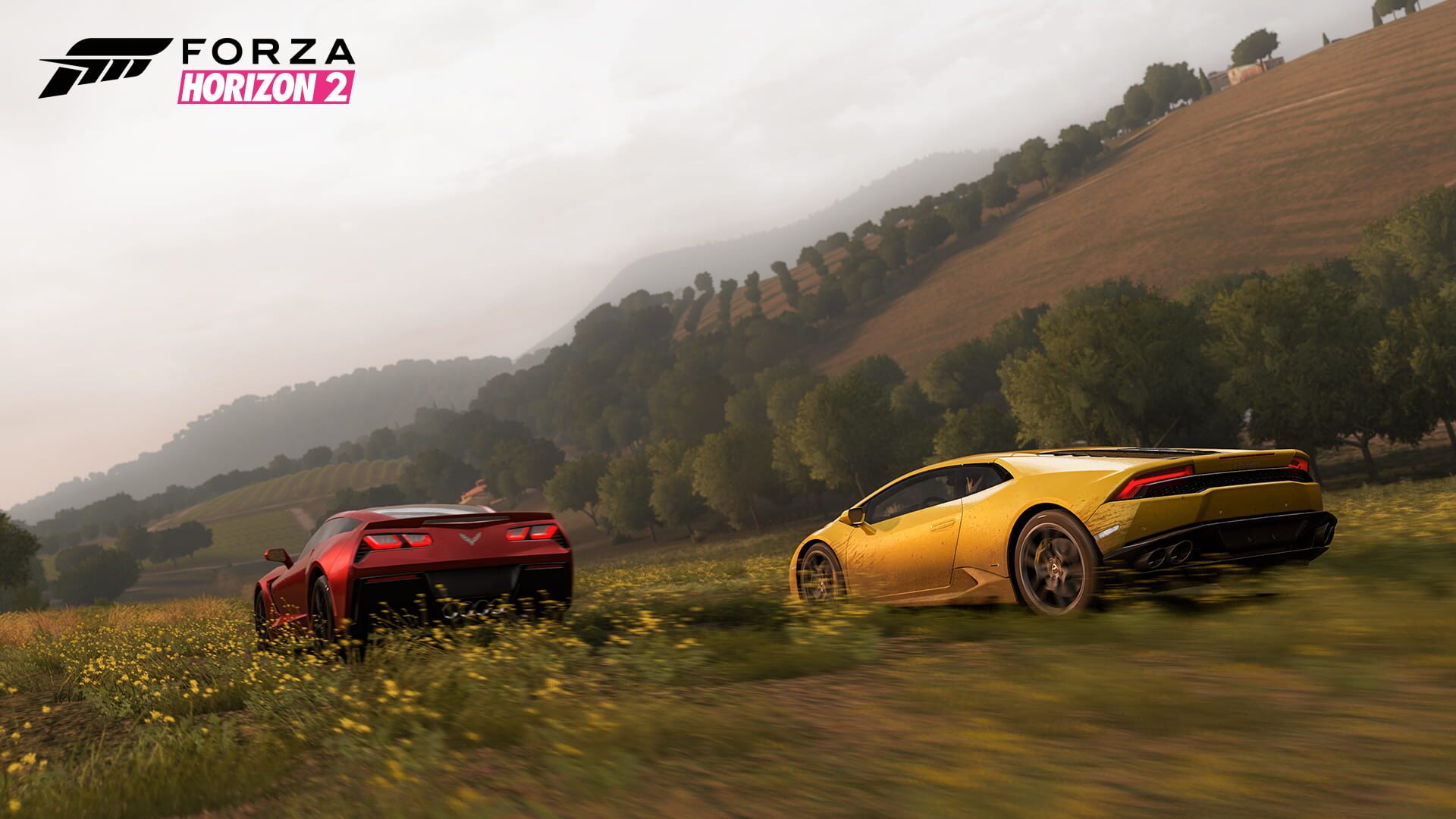 Forza Horizon 2 screenshot